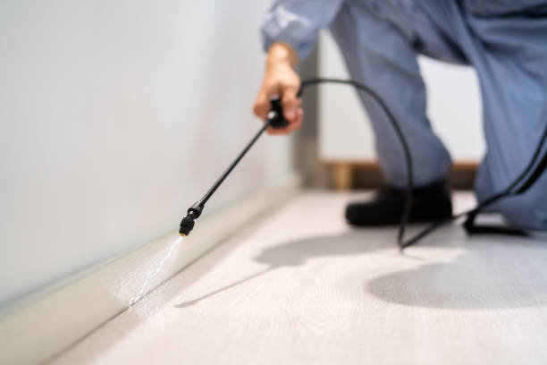 Bed Bug Pre-Treatment Preparation Assessment in Carleton