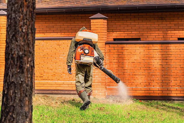 Bed Bug Clearance Verification and Documentation in Carleton
